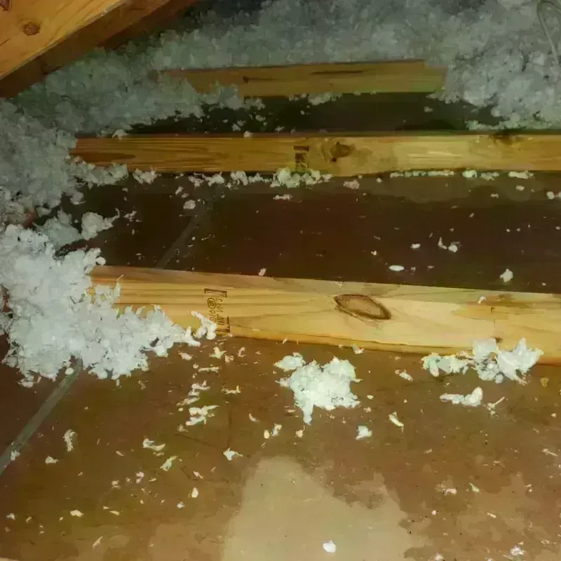 Attic Water Damage in Marbleton, WY